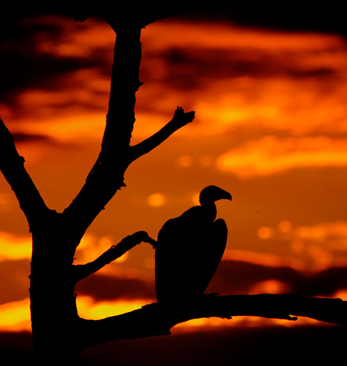 C&aacute;i chết, Đức tin v&agrave; Chủ nghĩa Hiện sinh